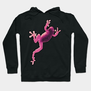 Pink Frog Climbing Hoodie